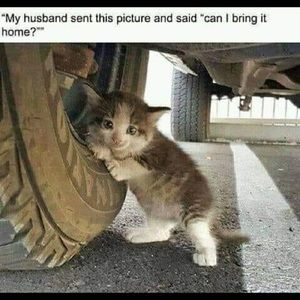 Meet your Posher, Hailey